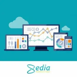 Sedia Marketing PAID MEDIA